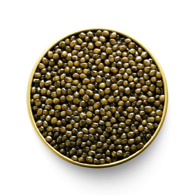 OSCIETRA CAVIAR 100G