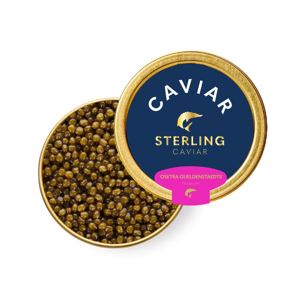 CAVIAR OSCIETRA 1000G